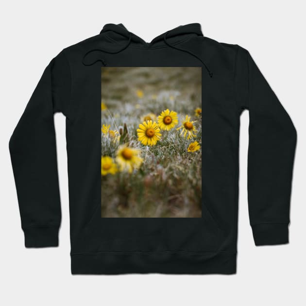 Mountain Wildflowers Hoodie by jonesing
